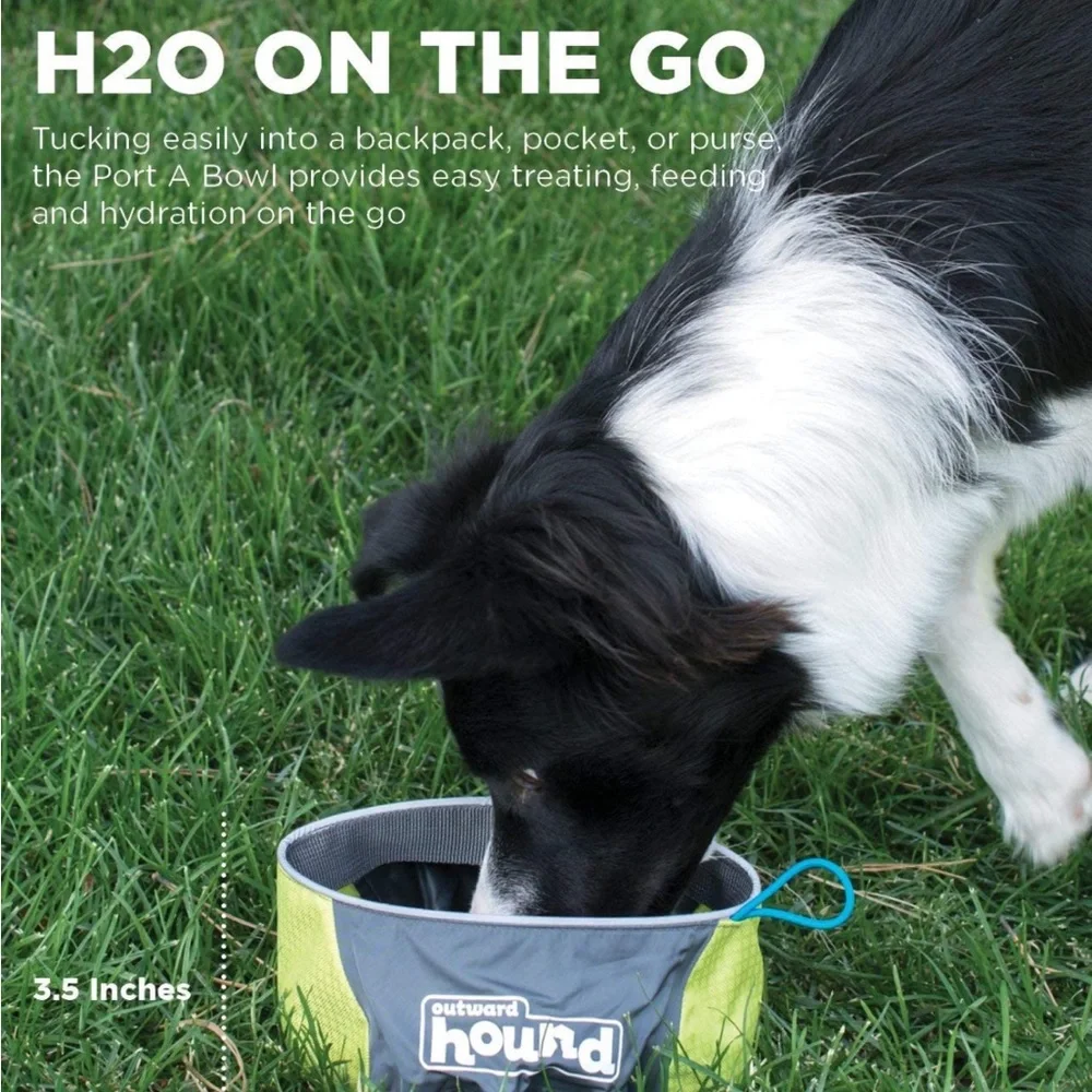 Portable dog bowl and pet food scoop